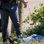 Memphis Arrest Surge from Trump Crime Task Force Strains Courts & Jails