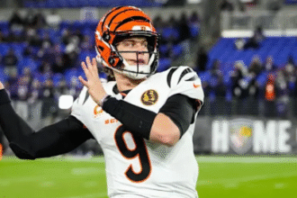 NFL Week 14: High-Stakes Games Put Playoff Hopes in the Spotlight